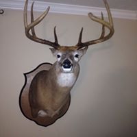Charles Moser Photo 41