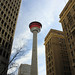 Dale Milne Photo 7
