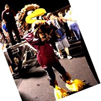 Corey Wyatt Photo 21
