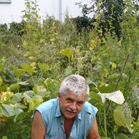 Hans Heim Photo 19