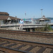 Christine Mcneil Photo 1
