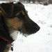 Jayne Winters Photo 8