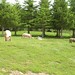 Scott Piller Photo 6