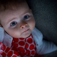 Nicole Aversa Photo 8