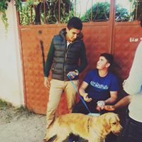 Emre Bicer Photo 10