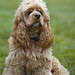 Buddy Beverly Photo 6