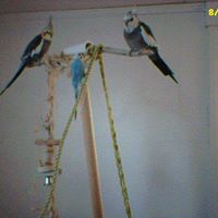 Joan Gunter Photo 5