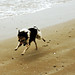 Otto Lui Photo 2