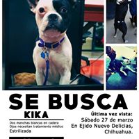 Abril Rubio Photo 7