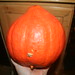 Kari Lemon Photo 9