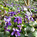 Anne Woods Photo 3