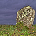 Mark Glendenning Photo 5