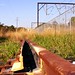 Rusty Cowan Photo 7