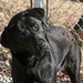 Quincy Foster Photo 4