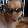 Jack Joe Photo 22