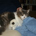 Heather Owen Photo 11
