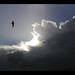 Ted Koehler Photo 7