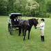 Kathryn Steed Photo 3