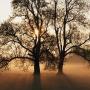 Jay Spaulding Photo 17