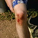 Jamie Thurber Photo 7