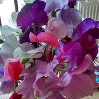Catherine Andrews Photo 21