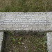 Owen Whitehead Photo 4