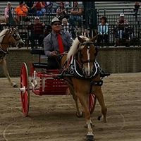 Chris Bowman Photo 29