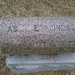 James Gallia Photo 3