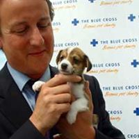 David Cameron Photo 29