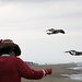 Toni Gull Photo 6