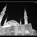 Amin Mohammad Photo 12
