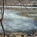 Margaret Cogswell Photo 7