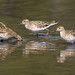 Wade Sharp Photo 4