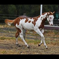 Kelly Spurr Photo 9