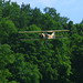 George Palen Photo 5