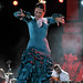Antonio Galvan Photo 8