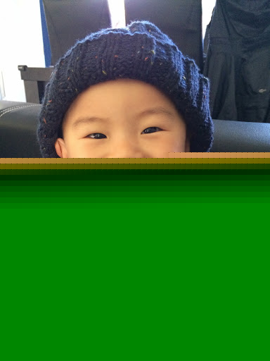 Tracy Guo Photo 15