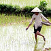 Dan Phan Photo 13