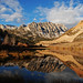Dawn Bishop Photo 16
