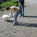Tanya Swan Photo 8