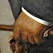 Edward Latour Photo 9