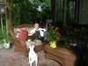 James Jenkins Photo 11
