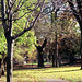 Joyce Fall Photo 1