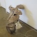 Sarah Demott Photo 9