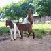 Penny Patrick Photo 13
