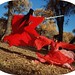 Ying Zhang Photo 23