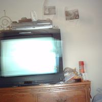 Ronnie Piper Photo 5