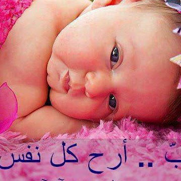Hoda Ali Photo 14