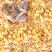 Leslie Weeks Photo 10
