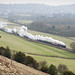 David Surrey Photo 4